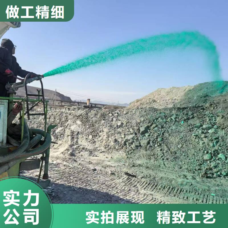 结壳型抑尘剂结壳型抑尘剂泡沫降尘剂