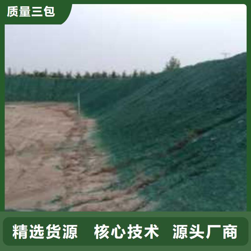 结壳环保降尘剂今日