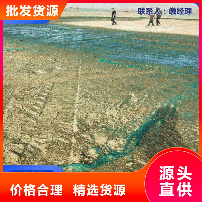道路生物型降尘剂生产厂家