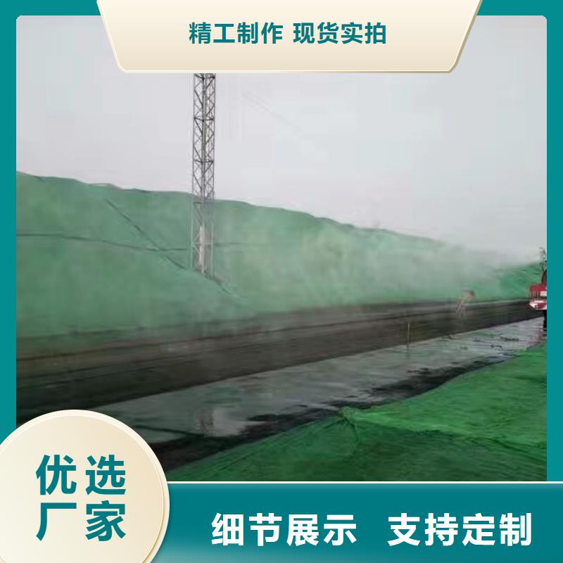 道路生物型降尘剂厂家