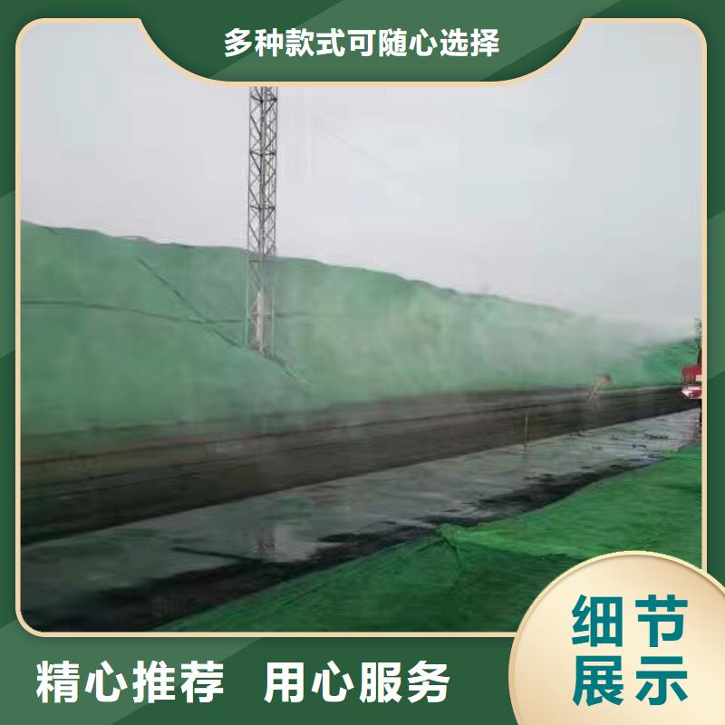 道路生物型降尘剂厂家